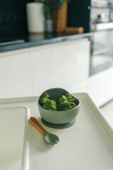 Wall Mural - Broccoli in a plate, first complementary food using the blw method