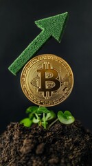 Poster - Gold bitcoin over small plant growing from the ground with green arrow pointing up symbolizing growth and investment in cryptocurrency
