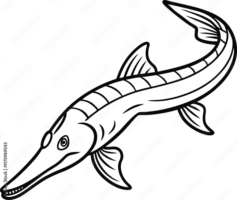 Gar Fish Vector Alligator gar line arts with white background. Hand drawn vector of ...