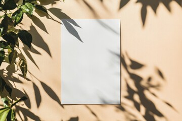 Wall Mural - Blank white paper on beige background with leaf shadows.