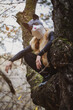 © junky_jess - A person in quadrober costume in a cats mask and fur vest squatting down on tree branch in the forest, vertical image.