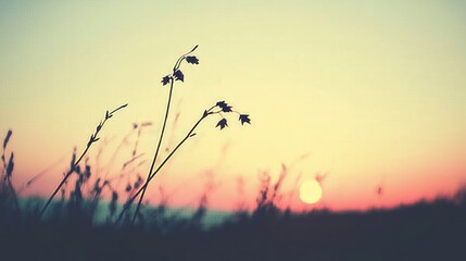 Sticker - Silhouettes of wildflowers at sunset.