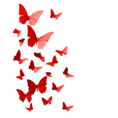 Poster - Minimalist Elegance: Red Butterflies on transparent Background