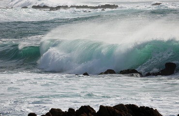 Wall Mural - Rolling pipe wave - Monterey Bay, California