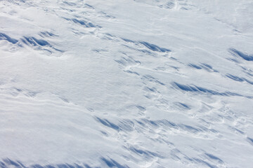 Wall Mural - The snow is white and the ground is covered in it