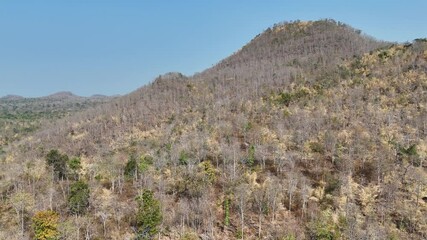 Wall Mural - 4K Aerial shot flying over yellow autumn trees in the mountain
