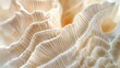 © Shahzada jahangir - Detailed look at a microscopic shell from the ocean displaying intricate ridges in pale beige and ivory