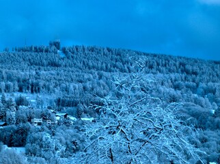 Wall Mural - Winter landscape in Schmitten Oberreifenberg