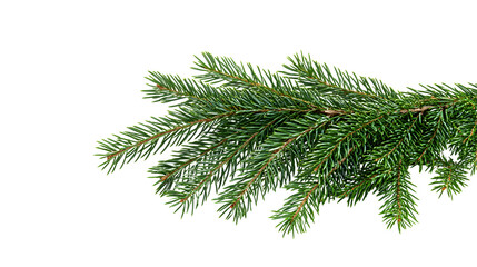Wall Mural - christmas corner arrangement with green pine twigs isolated on white or transparent background