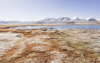 Wall Mural - Panorama of a high-mountain landscape, a lake and a river in the mountains flows in a mountain valley among meadows against the background of mountains, landscape in the Pamir Mountains background