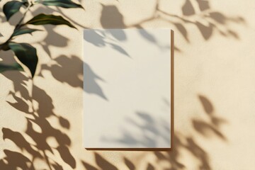 Wall Mural - Blank paper mockup with leaf shadows on beige background.