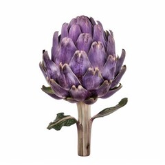 Poster - Studio shot of a purple artichoke standing on a white background