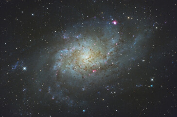 Wall Mural - triangulum galaxy or also called messier 33 in the triangulum constellation, taken with amateur tele