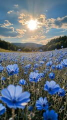 Wall Mural - vibrant field of blue flowers under a sunny sky with clouds in a serene landscape