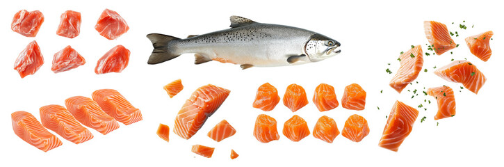 Poster - A whole salmon is displayed alongside various cuts of salmon fillets. The vibrant pink fish portions are ready for cooking, showcasing their freshness and quality.