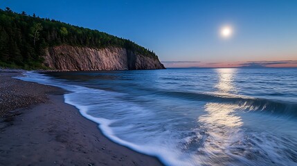 Wall Mural - a silent moonlit beach with the waves gently lapping at the shore