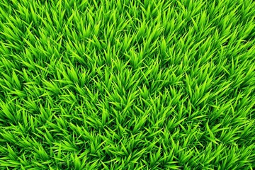 Wall Mural - Bright green grass blades in a highly detailed close-up view, placed on a vibrant background. Concept of nature, growth, and freshness. Ai generative