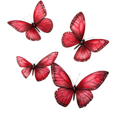 Poster - An image showcasing four red butterflies in various flight positions against a stark white background.