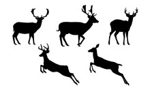 Deer silhouette vector illustration set. Deer cartoon element. Deer with antlers jumping agilely illustration.