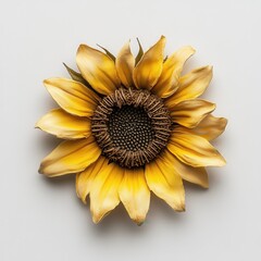 Poster - Vibrant yellow sunflower with intricate petal details showcasing natural beauty in a simple setting