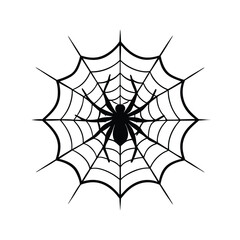 spider and web