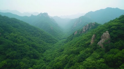 Poster - Lush green mountains and valleys under a hazy sky, showcasing natural beauty and tranquility.