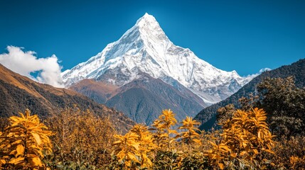 Wall Mural - A breathtaking view of a snow-capped mountain surrounded by vibrant golden foliage under a clear blue sky, This image is perfect for travel brochures, nature articles, and adventure-themed content,