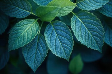 Wall Mural - vibrant green leaf macro photography with detailed veins and natural texture pattern, perfect for ec