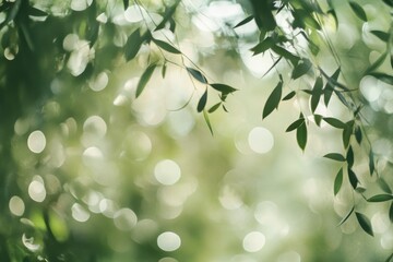 Wall Mural - Abstract background with blur effect and bokeh highlights of green leaves