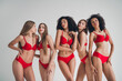 © deagreez - Photo of gorgeous young ladies friends shopping models wear red lingerie isolated white wall studio background no retouch