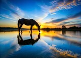 New Forest Pony Silhouette Drinking at Lake, Hampshire, England, UK - Blue Sky Tourist Destination Stock Photo