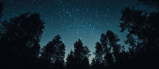 Poster - Starry night sky with data code elements cascading through trees providing ample empty space for text and creative digital design.