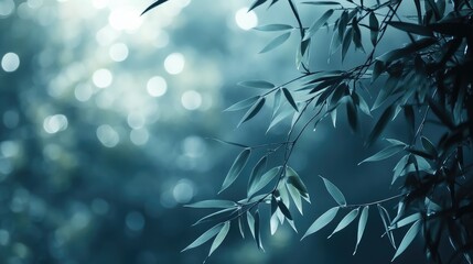 Poster - Serene bamboo leaves against a blurred background creating a tranquil nature scene with soft light and vibrant greenery
