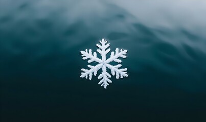 Poster - Glistening Snowflake, a close-up view of a single snowflake illuminated by soft light, showcasing intricate details and delicate patterns.