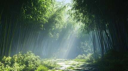 Poster - Serene bamboo grove with sun rays filtering through lush greenery creating a peaceful pathways in a tranquil natural setting