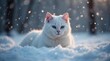 © Tetiana - Beautiful White Cat in Snowy Winter Wonderland Scene