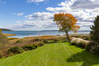 © Raymond Forbes LLC/Stocksy - Luxury Waterfront coastal tree landscape Massachusetts