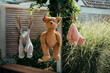 © Helen Rushbrook/Stocksy - Soft toys, including a teddy bear, hanging on the washing line to dry