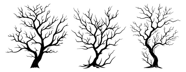 Wall Mural - vector illustration of tree branches with intricate hand-drawn line details