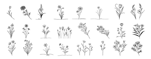 Wall Mural - artistic set of hand-drawn flower and plant illustrations in linear style