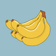 © sasa_elebea - Fresh Yellow Bananas Illustration