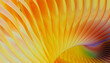 © Javier Pardina/Stocksy - Abstract Pattern with Vivid Colors