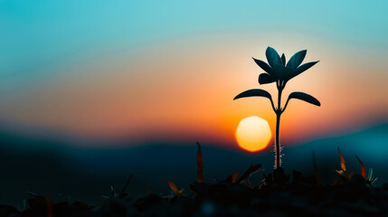 Wall Mural - leafy plant is silhouetted against a beautiful sunset.