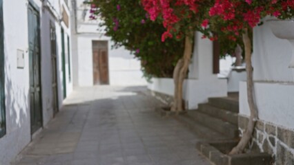  Blurred alleyway in lanzarote with vibrant pink flowers and white buildings in outdoor setting, spain, canary islands