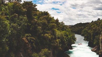 Wall Mural - River stream running through lush forest new zealand bush green