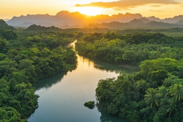 Wall Mural - A serene scene of a river flowing peacefully through a densely forested area, perfect for nature and outdoors themed projects