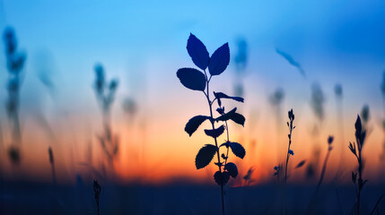 Wall Mural - leafy plant is silhouetted against a beautiful sunset
