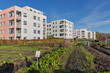 © Rene de Haan/Stocksy - urban garden