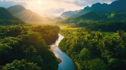 Poster - A beautiful tropical landscape with a clear river winding through the greenery, nestled between mountains and bathed in warm, natural sunlight