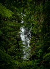 Wall Mural - Ranger Falls Peeks Through The Surrounding Green Branches